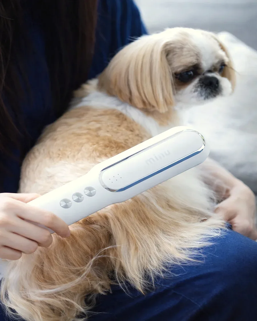 犬用ドライヤー 自宅グルーミング使用イメージ